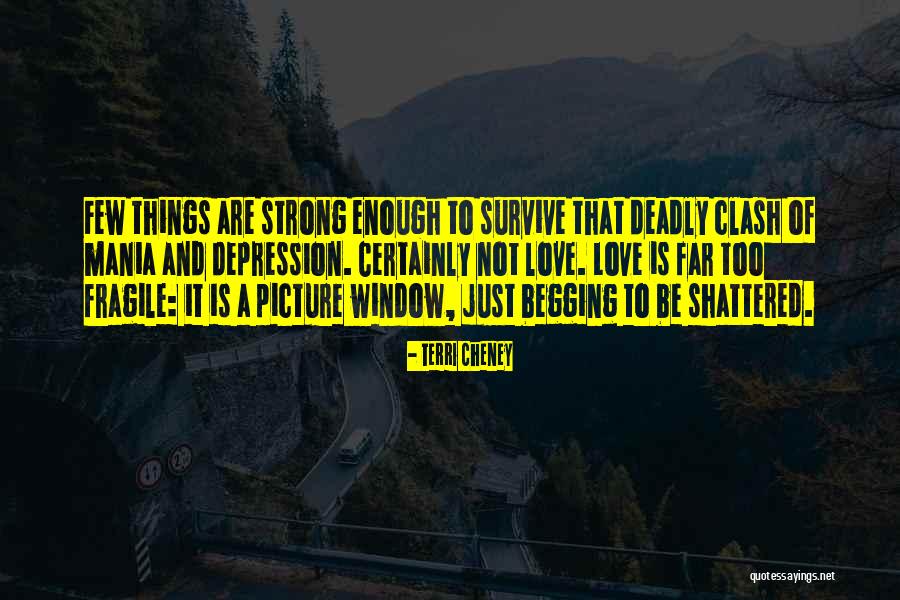 Mania And Depression Quotes By Terri Cheney Mania And Depression Quotes By Terri Cheney
