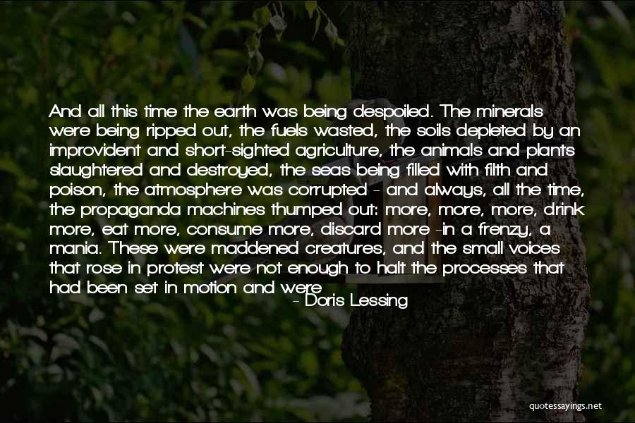 Mania Quotes By Doris Lessing