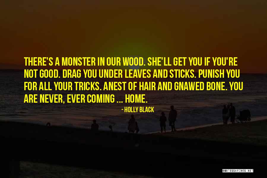 Manibus Font Quotes By Holly Black Manibus Font Quotes By Holly Black