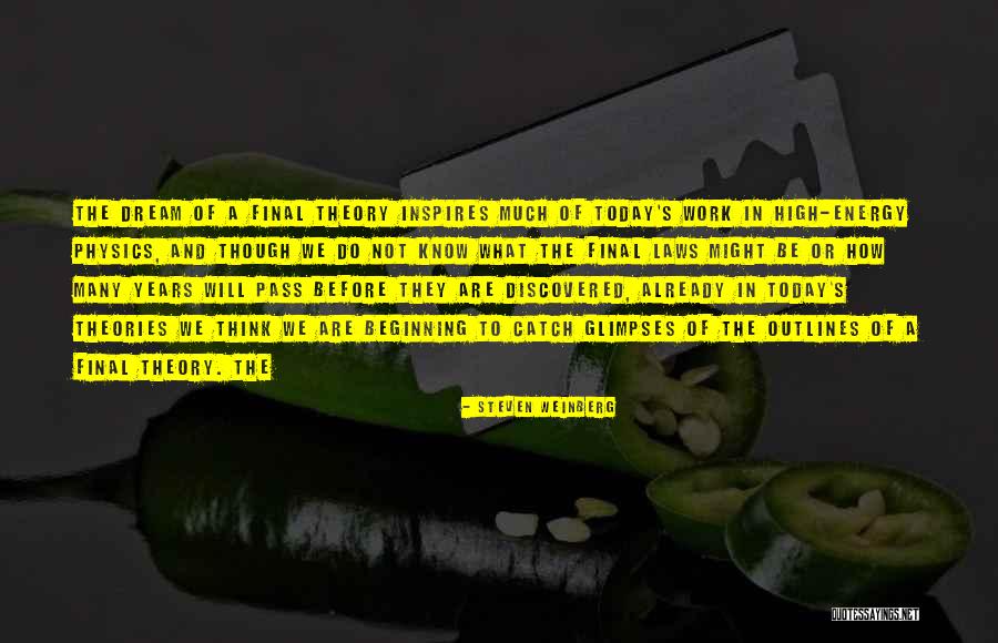 Manic Depresion Quotes By Steven Weinberg Manic Depresion Quotes By Steven Weinberg