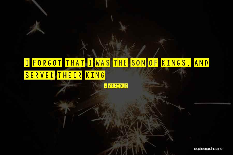 Manichean Quotes By Various