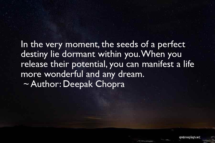 Manifest Destiny Quotes By Deepak Chopra