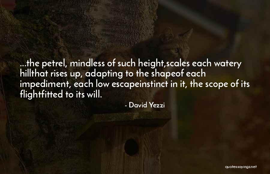 Manifold Leak Quotes By David Yezzi Manifold Leak Quotes By David Yezzi