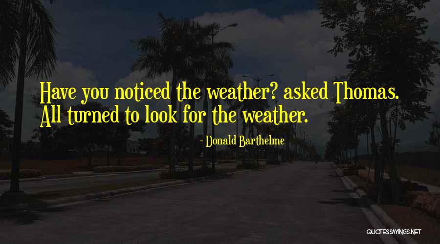 Manik Nandini Quotes By Donald Barthelme Manik Nandini Quotes By Donald Barthelme