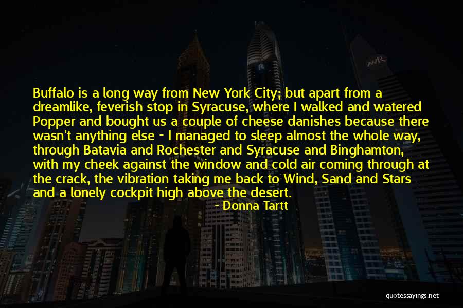 Manik Nandini Quotes By Donna Tartt Manik Nandini Quotes By Donna Tartt