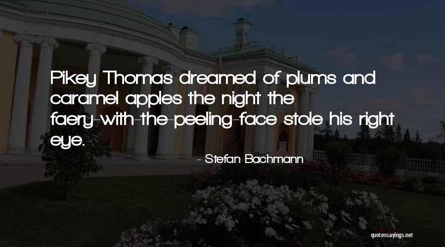 Manikin Challenge Quotes By Stefan Bachmann Manikin Challenge Quotes By Stefan Bachmann