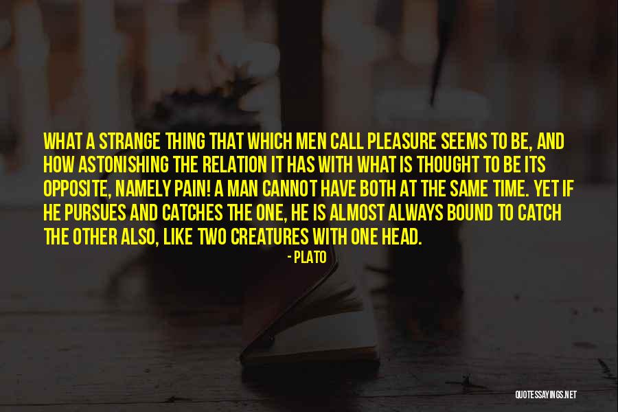 Manipolare Citazioni Quotes By Plato Manipolare Citazioni Quotes By Plato
