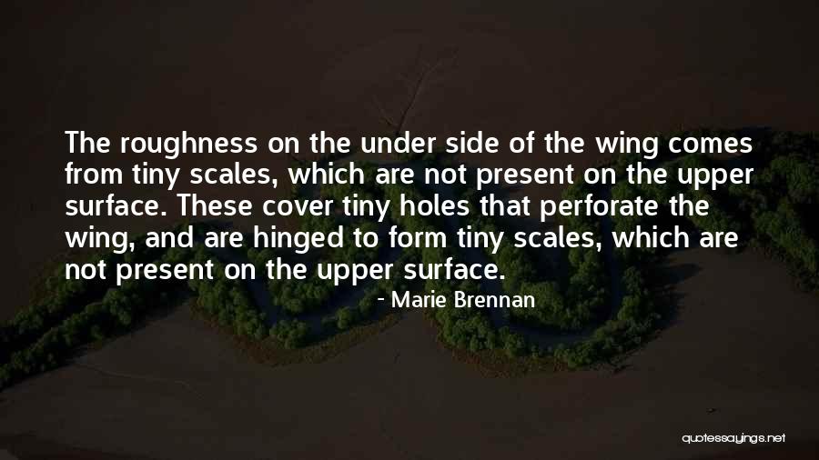 Manipulations Of Variables Quotes By Marie Brennan Manipulations Of Variables Quotes By Marie Brennan