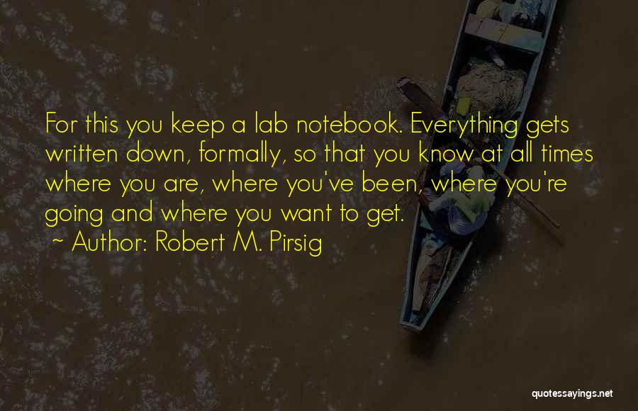 Manje Bistre Quotes By Robert M. Pirsig