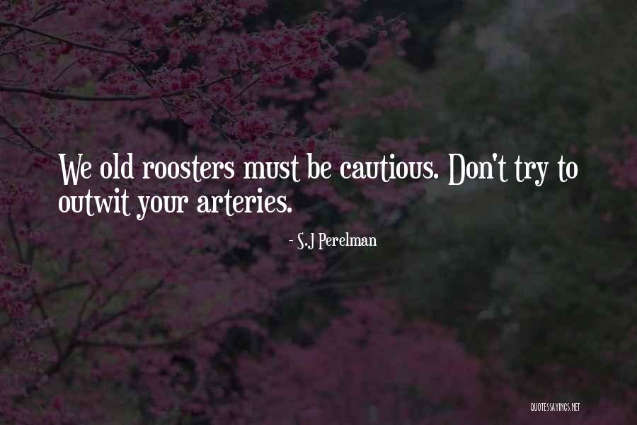 Manjola Naco Quotes By S.J Perelman