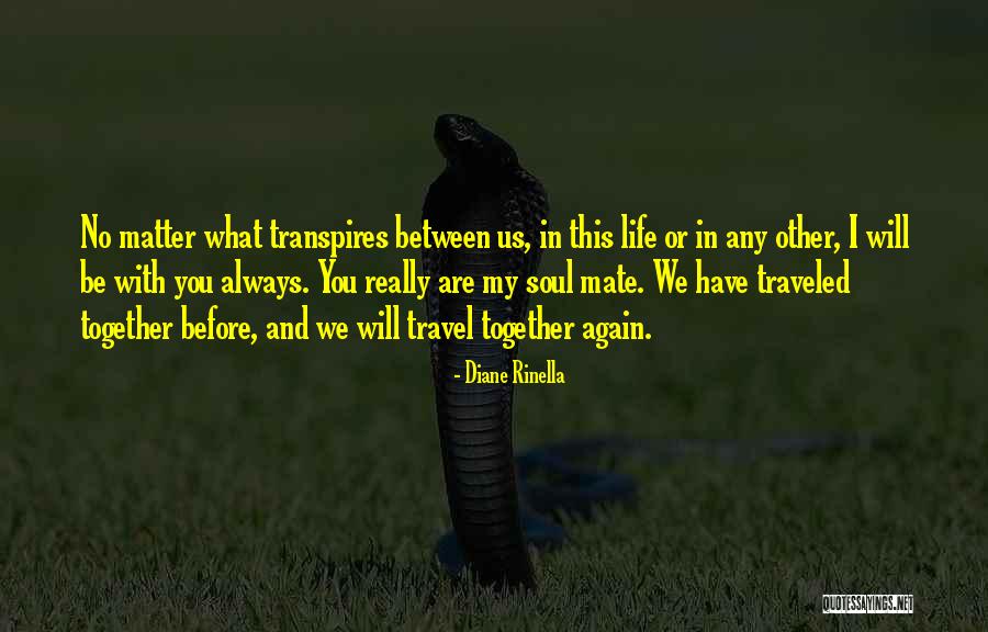 Manjola Nallbani Quotes By Diane Rinella Manjola Nallbani Quotes By Diane Rinella