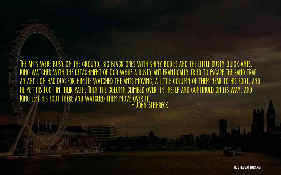 Manjola Nallbani Quotes By John Steinbeck Manjola Nallbani Quotes By John Steinbeck