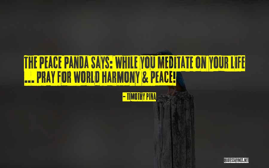Manjusha Art Quotes By Timothy Pina Manjusha Art Quotes By Timothy Pina