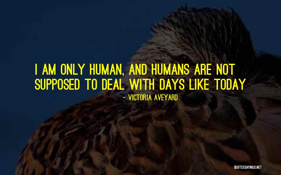 Mankindman Quotes By Victoria Aveyard Mankindman Quotes By Victoria Aveyard