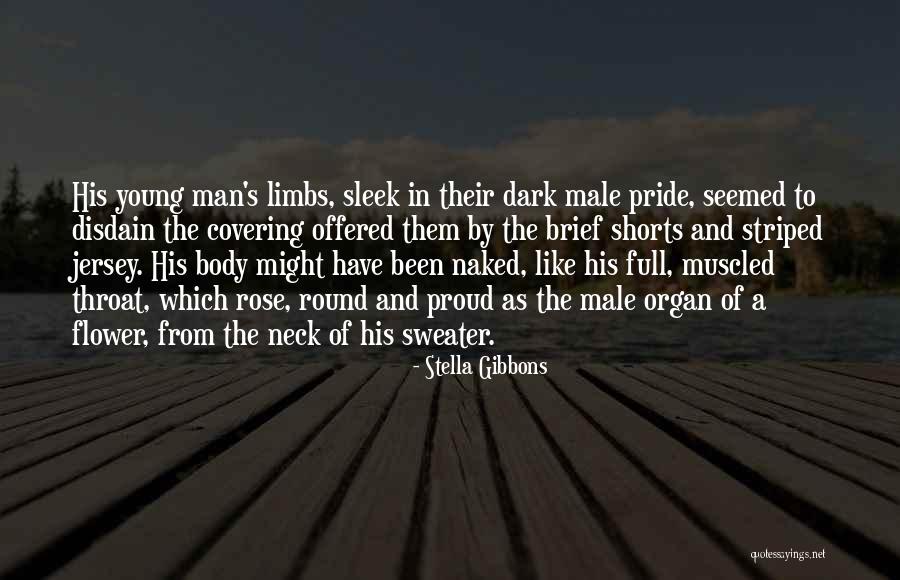 Manliness Quotes By Stella Gibbons