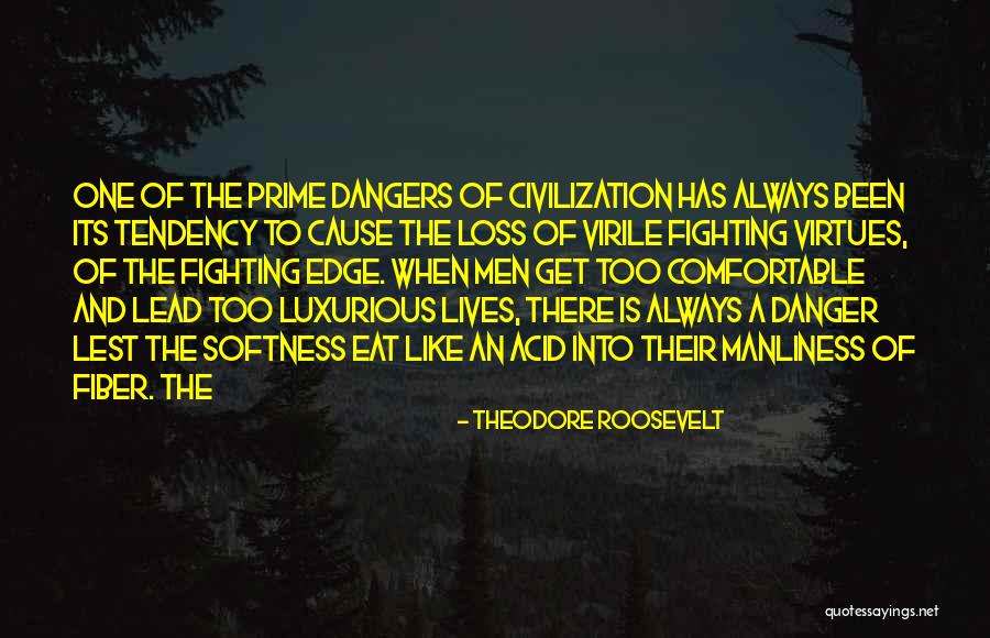 Manliness Quotes By Theodore Roosevelt