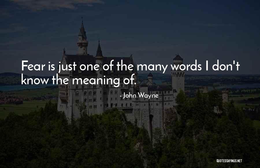 Mannarintangon Quotes By John Wayne Mannarintangon Quotes By John Wayne