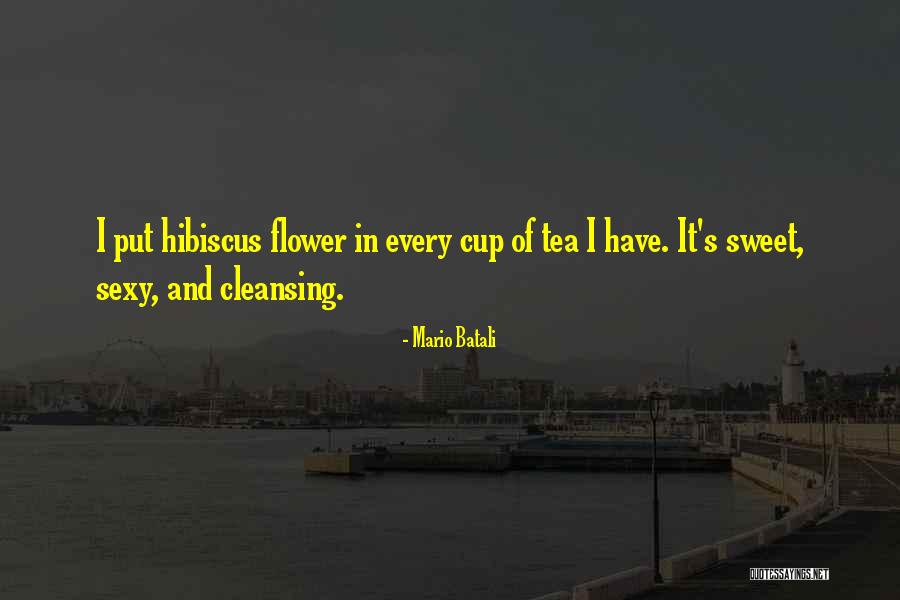 Manneh Plumbing Quotes By Mario Batali Manneh Plumbing Quotes By Mario Batali