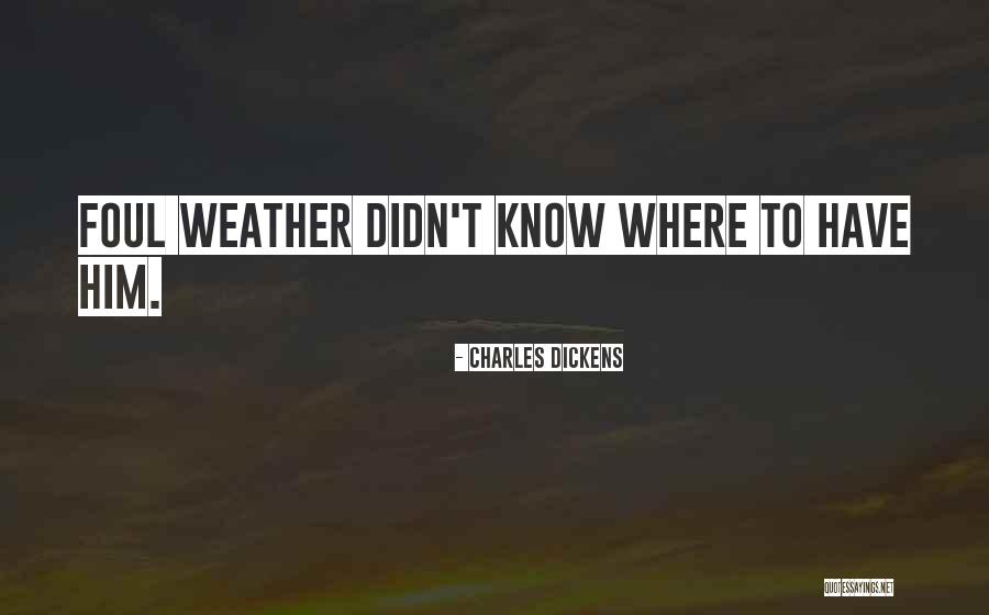 Manometry Fluid Quotes By Charles Dickens