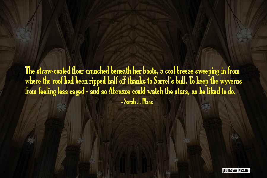 Manon Blackbeak Quotes By Sarah J. Maas Manon Blackbeak Quotes By Sarah J. Maas