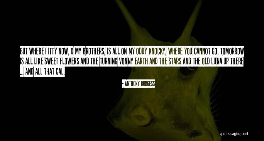 Manoranjan Flower Quotes By Anthony Burgess Manoranjan Flower Quotes By Anthony Burgess