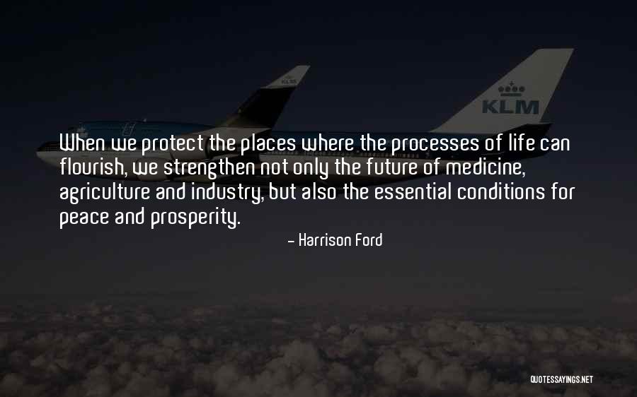 Manors At Brookmere Quotes By Harrison Ford Manors At Brookmere Quotes By Harrison Ford