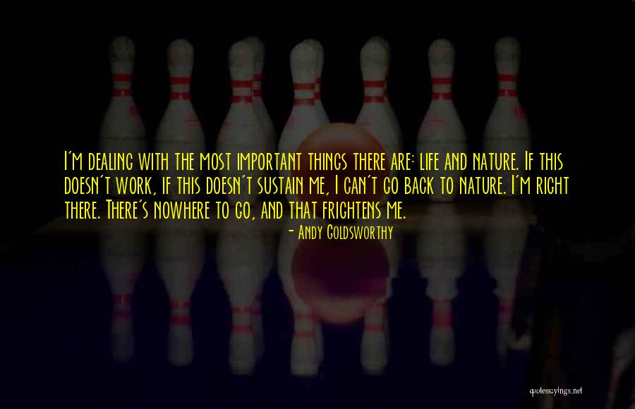 Manotoc Model Quotes By Andy Goldsworthy Manotoc Model Quotes By Andy Goldsworthy