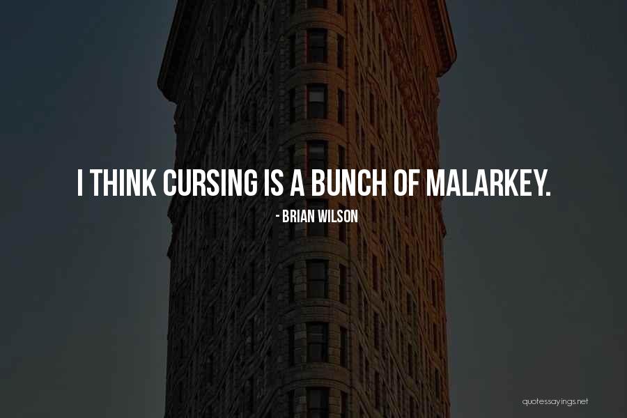 Manovich The Language Quotes By Brian Wilson Manovich The Language Quotes By Brian Wilson