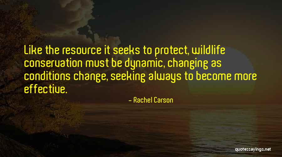 Manpreet Bambra Quotes By Rachel Carson Manpreet Bambra Quotes By Rachel Carson