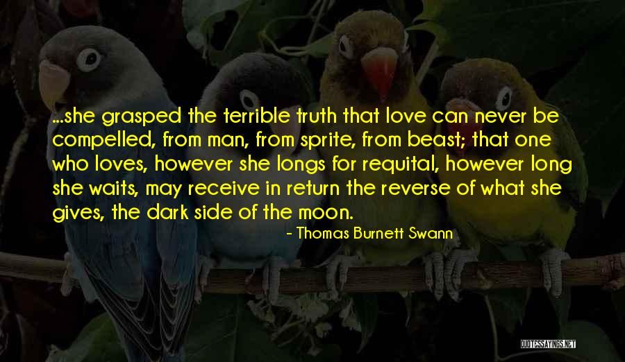 Man's Dark Side Quotes By Thomas Burnett Swann