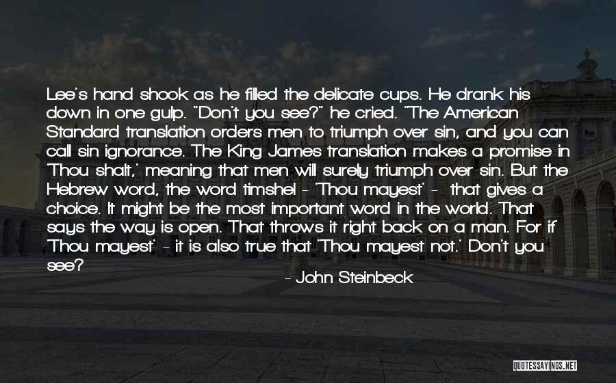 Man's Sin Quotes By John Steinbeck