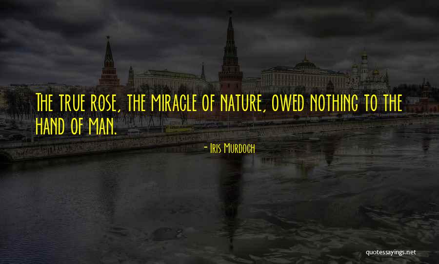 Man's True Nature Quotes By Iris Murdoch