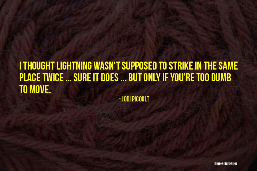 Mans Wisdom Quotes By Jodi Picoult Mans Wisdom Quotes By Jodi Picoult