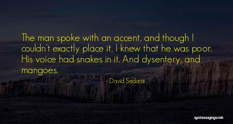 Mansergh Transfer Quotes By David Sedaris Mansergh Transfer Quotes By David Sedaris