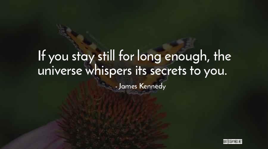 Mantaro Quotes By James Kennedy Mantaro Quotes By James Kennedy