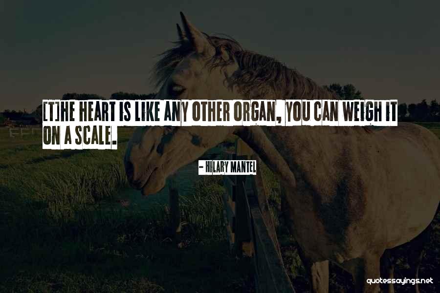 Mantel Quotes By Hilary Mantel Mantel Quotes By Hilary Mantel