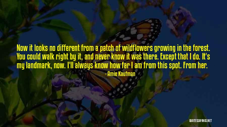 Mantengo Materiales Quotes By Amie Kaufman Mantengo Materiales Quotes By Amie Kaufman