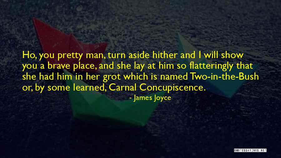 Manticore Ark Quotes By James Joyce Manticore Ark Quotes By James Joyce