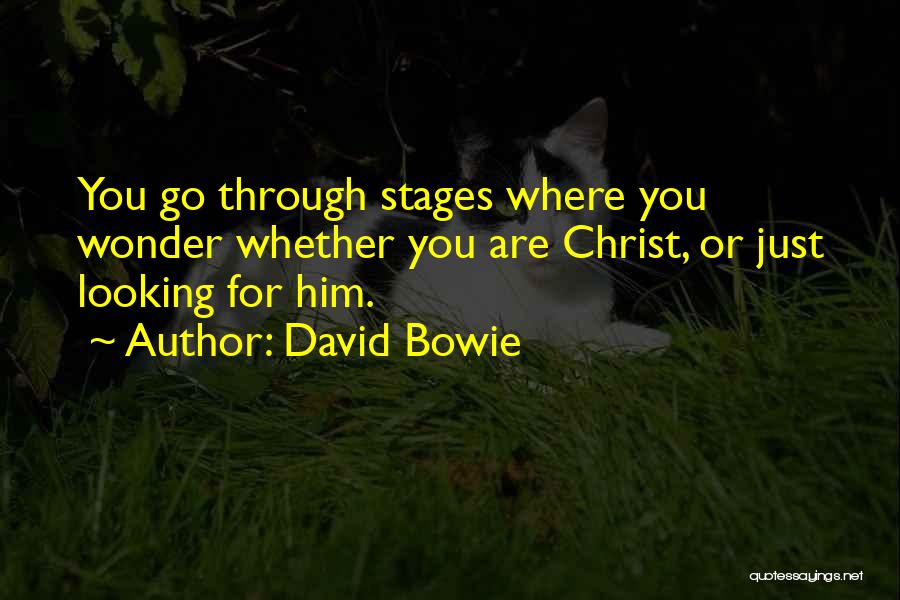 Mantikilya Quotes By David Bowie