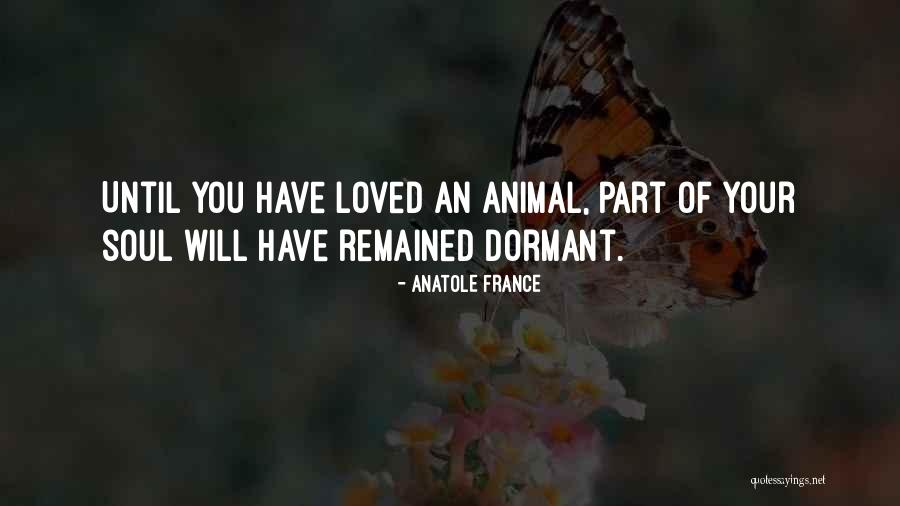 Manuais Gratuitos Quotes By Anatole France Manuais Gratuitos Quotes By Anatole France