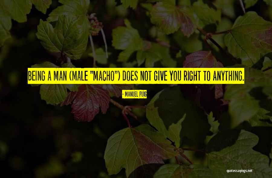 Manuel Puig Quotes 1802353