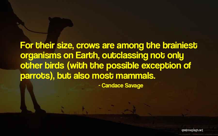 Manuela Espejo Quotes By Candace Savage Manuela Espejo Quotes By Candace Savage