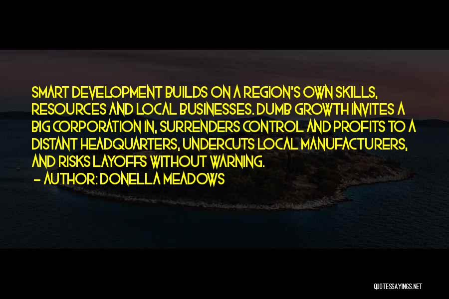 Manufacturers Quotes By Donella Meadows