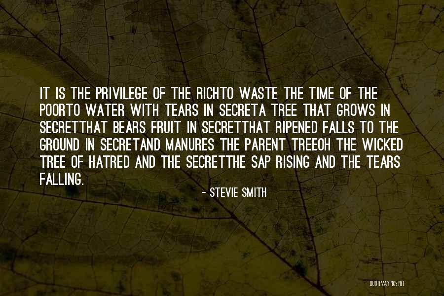 Manures Quotes By Stevie Smith Manures Quotes By Stevie Smith