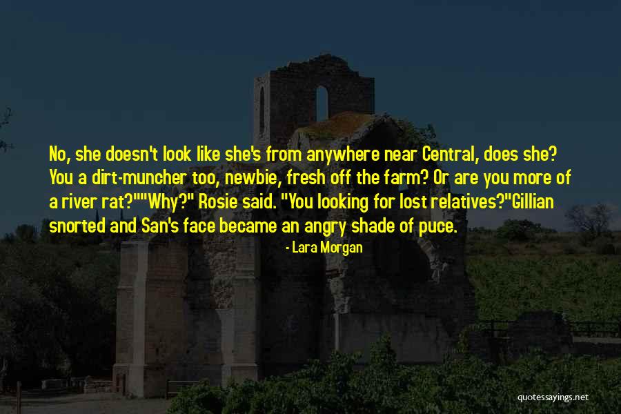 Manwill Heating Quotes By Lara Morgan Manwill Heating Quotes By Lara Morgan