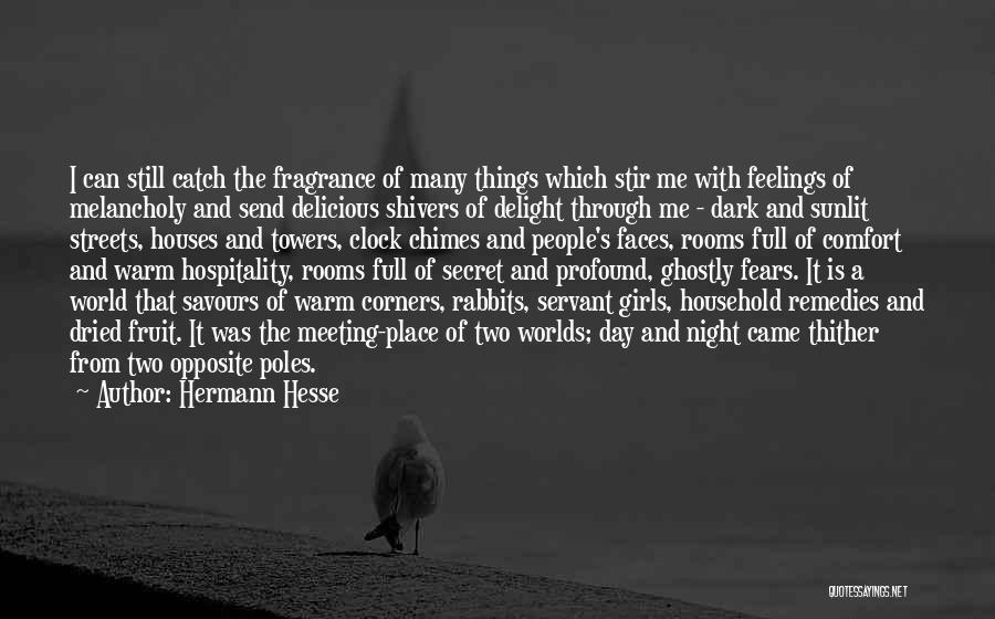Many Faces Of Me Quotes By Hermann Hesse