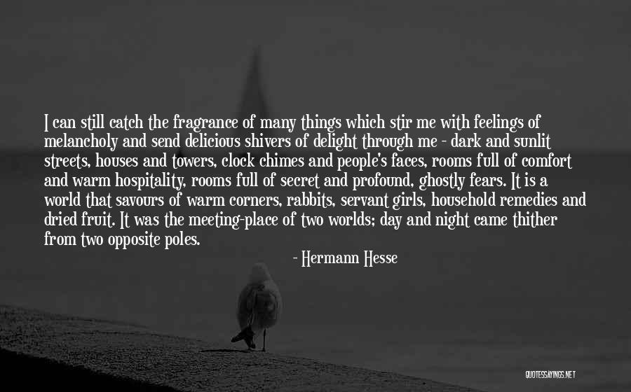 Many Faces Of Me Quotes By Hermann Hesse