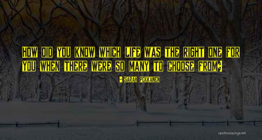 Many From Quotes By Sarah Pekkanen Many From Quotes By Sarah Pekkanen