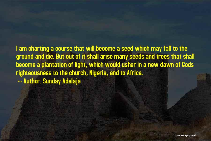 Many Gods Quotes By Sunday Adelaja