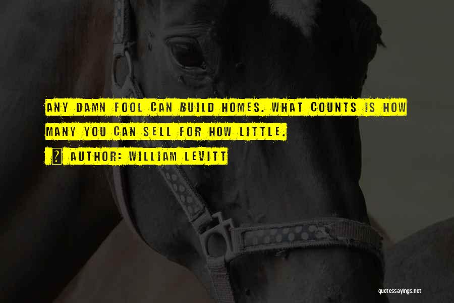 Many Homes Quotes By William Levitt